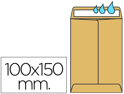 ENVELOPE LIDERPAPEL N.0 SALARIOS CANA 100X150MM SEM JANELA PACK DE 1000 UNIDADES